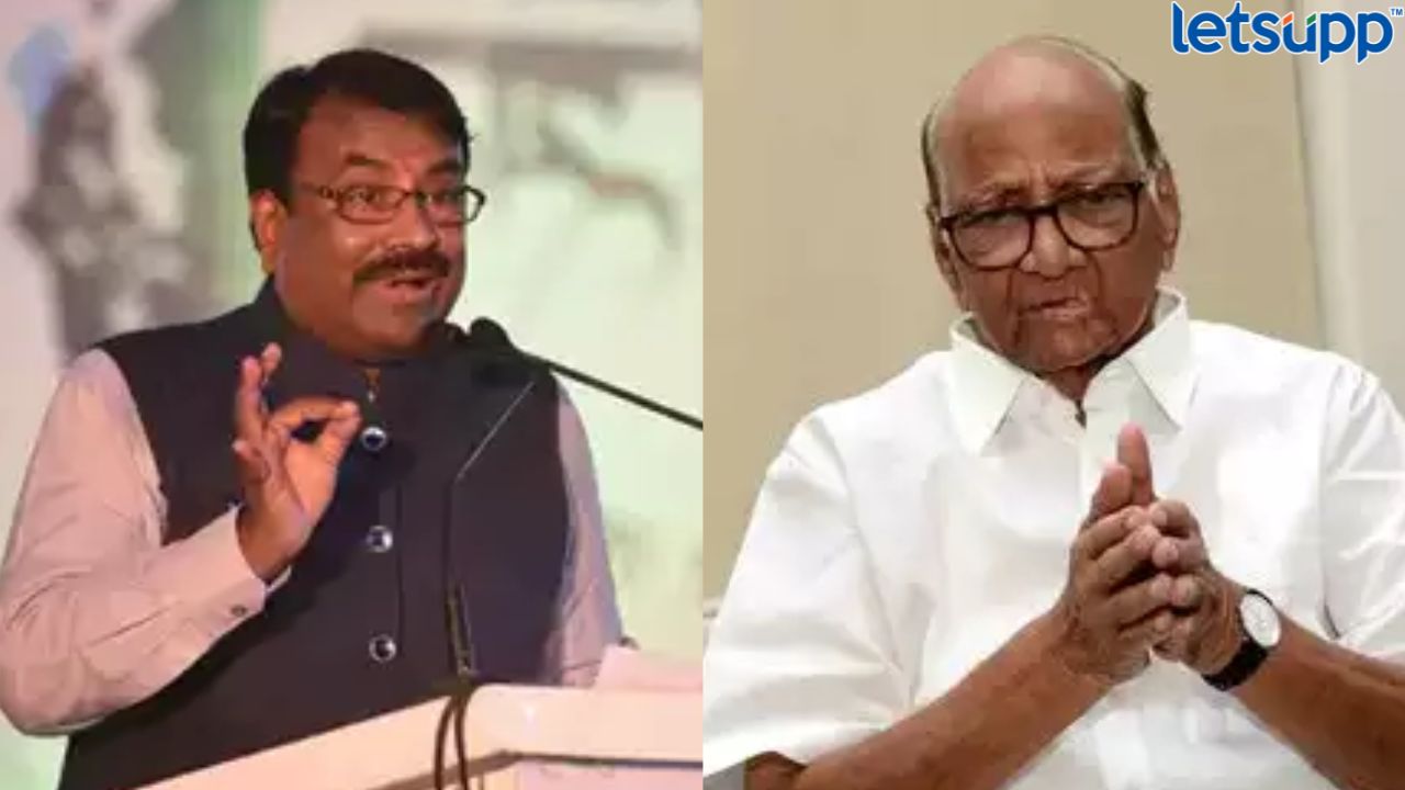 Sharad Pawar झोपेतही ईडी म्हटल्यावर 1 किलोमीटर धावतात; मुनगंटीवारांची टीका Sudhir Mungantiwar On Sharad Pawar