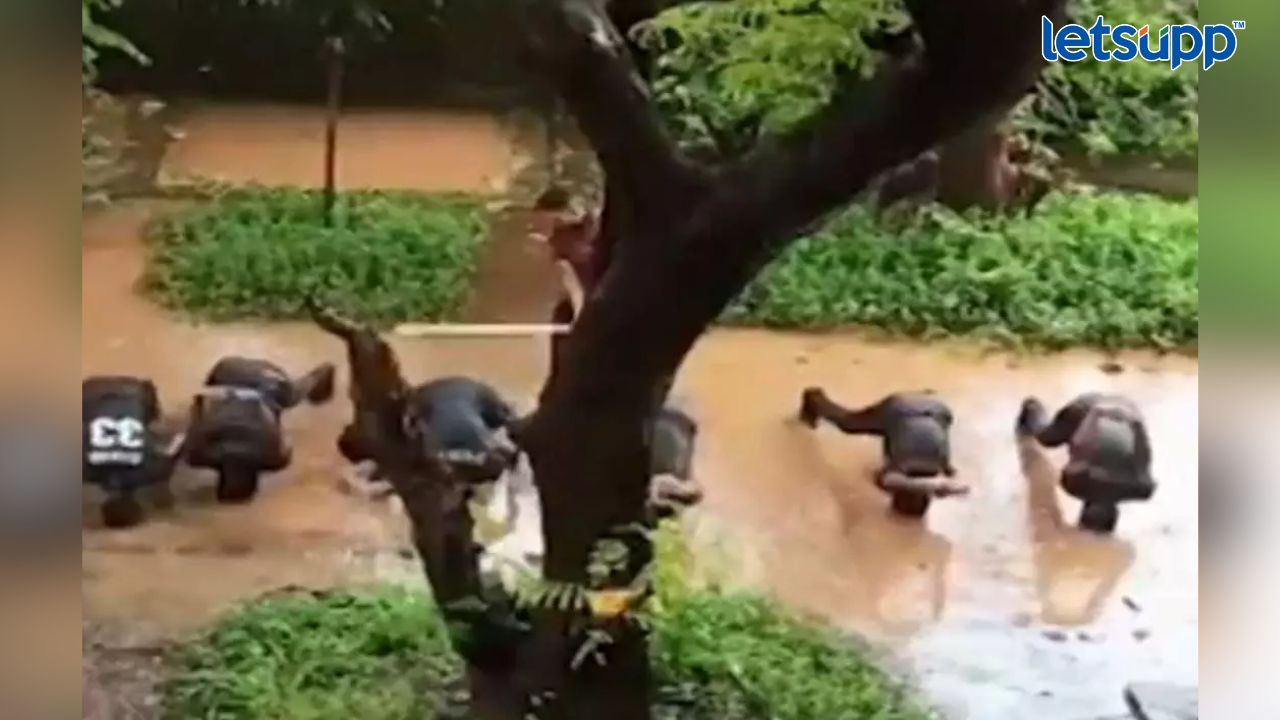 ठाण्यातील महाविद्यालयात NCC ट्रेनिंगच्या नावाखाली विद्यार्थ्यांना अमानुष मारहाण, व्हिडिओ व्हायरल Untitled Design 2023 08 03T193304.183
