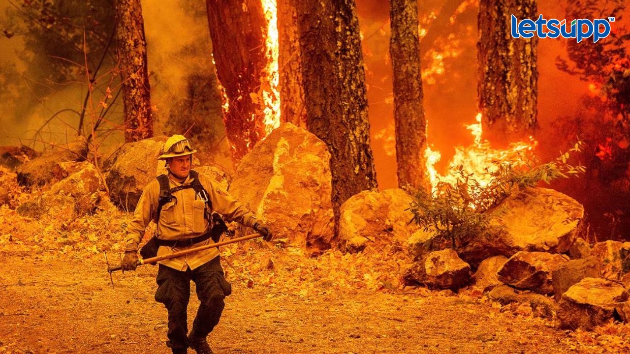 अमेरिकेतील हवाईच्या जंगलात अग्नितांडव! मृतांचा आकडा 89 वर, शोध मोहिम सुरू Untitled Design