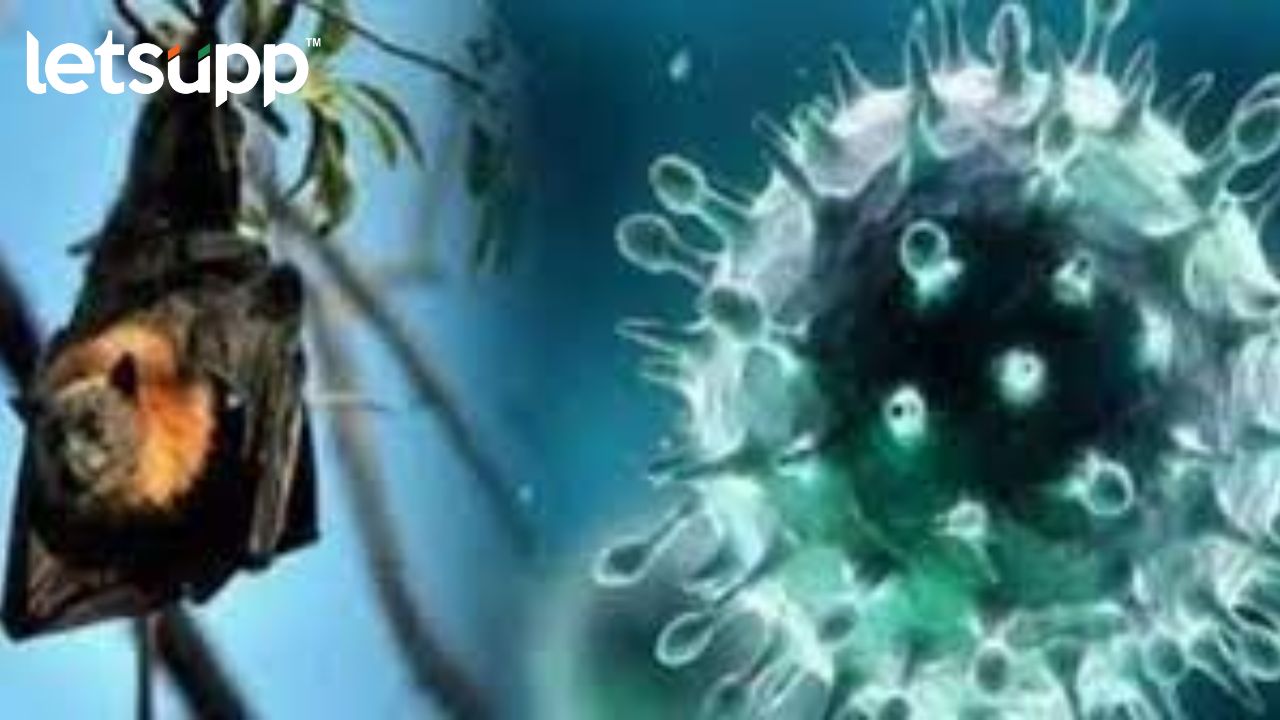 Kerala : निपाह व्हायरसची धास्ती! केरळमध्ये दोन रुग्ण दगावले, केंद्राचं पथक दाखल…