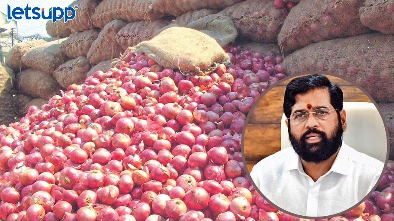 कांदा उत्पादकांना काहीसा दिलासा! पहिल्या टप्प्यात 3 लाख शेतकऱ्यांना 300 कोटी रुपयांचा निधी… Eknath shinde