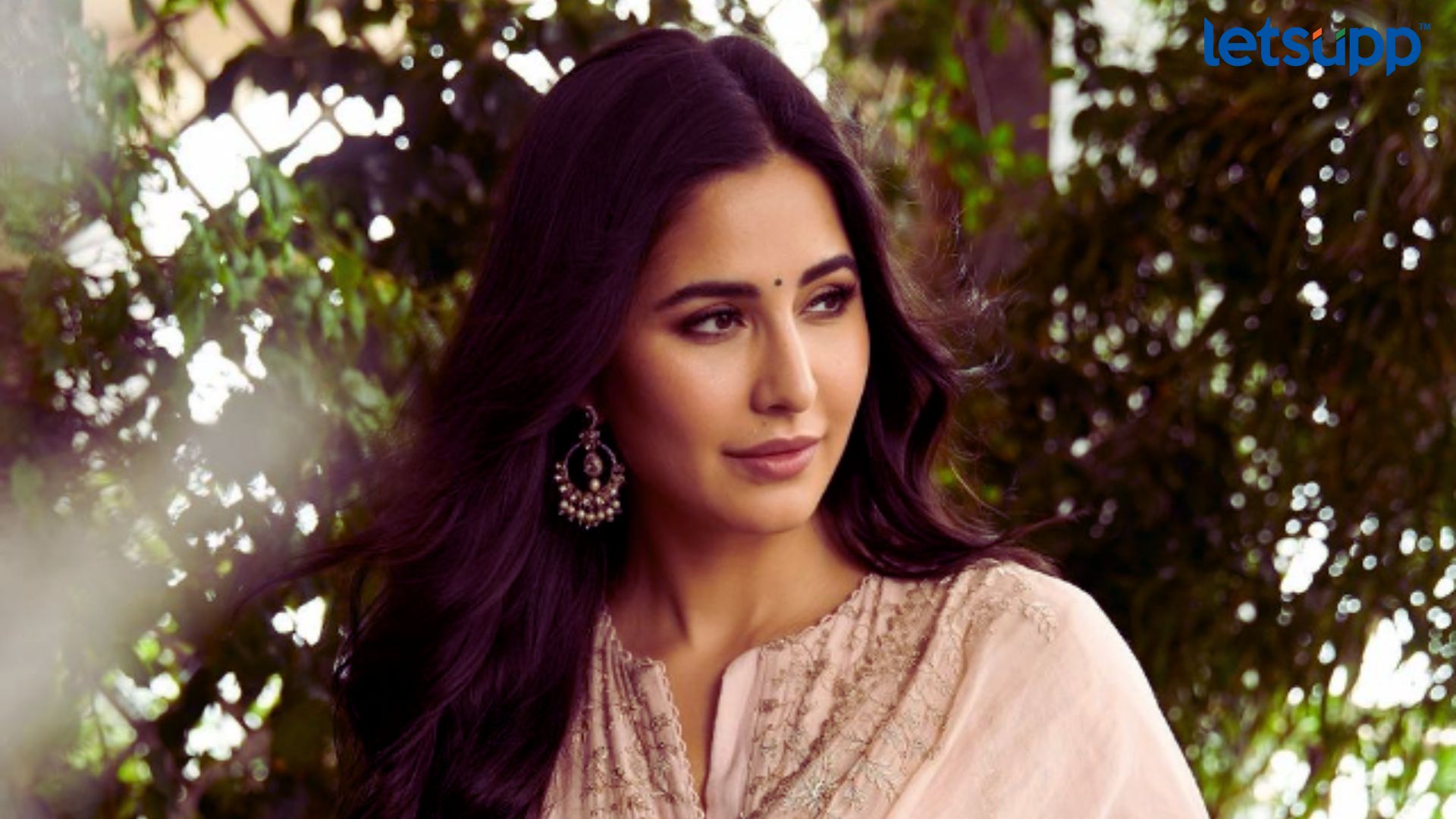 katrina kaif: कैटरीना कैफ ठरली इतिहाद एअरवेजची ब्रँड अँम्बेसेडर ! katrina kaif