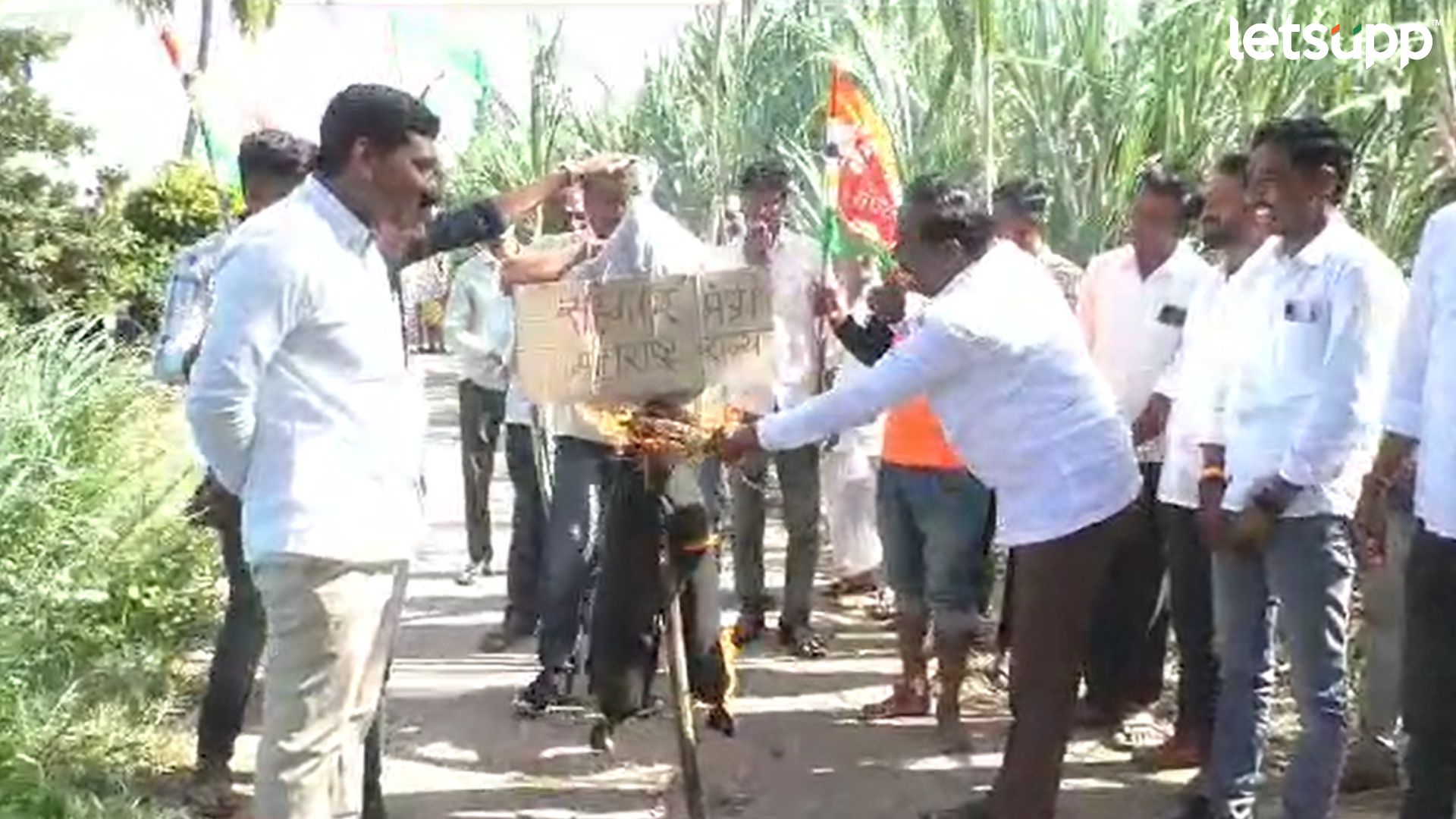ऊस झोनबंदीचा मुद्दा तापला; वळसे पाटलांचा पुतळा जाळत रयत क्रांती संघटना मैदानात Rayat Kranti On Sugarcase