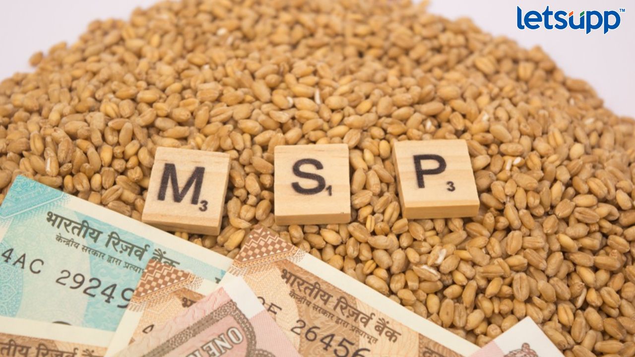 Rabi Crops MSP Hike