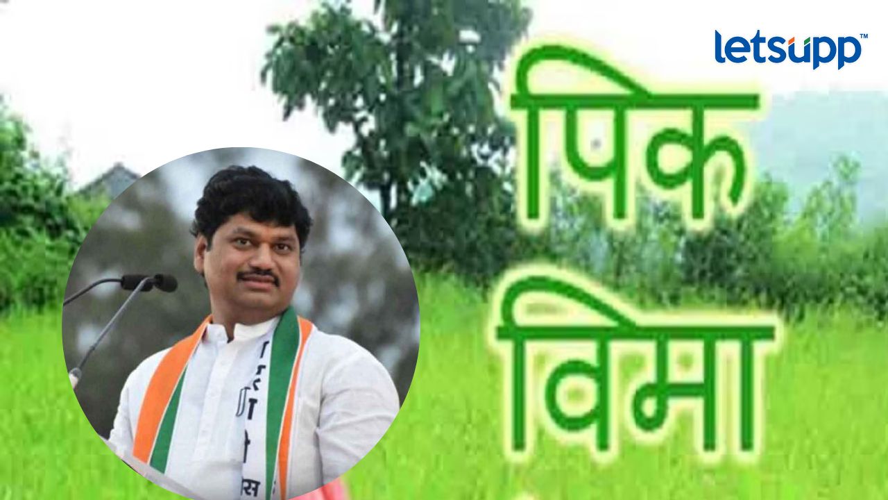 शेतकऱ्यांची दिवाळी होणार गोड? विम्याच्या अग्रीमबद्दल कृषिमंत्र्यांची मोठी घोषणा Dhanajay Munde Pikveema