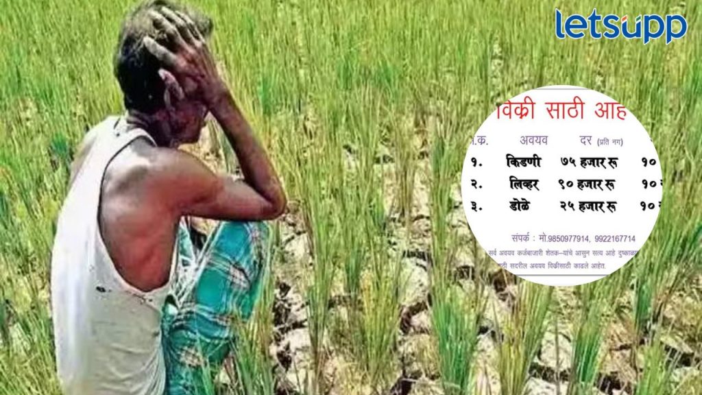 Farmer Mharashtra