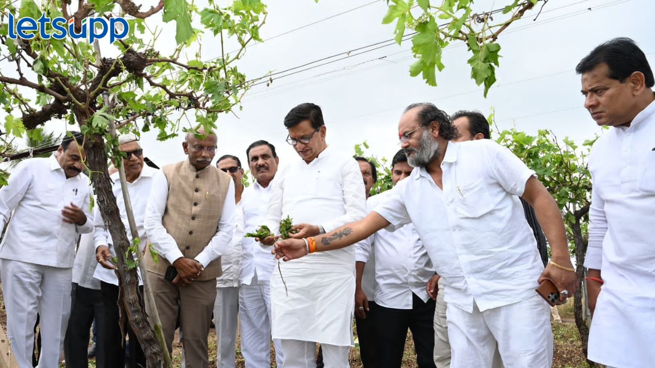 ‘निकष बाजूला ठेवा, कागदी घोडे न नाचवता जेवढं नुकसान झालं, तेवढी मदत करा’; थोरात आक्रमक 'निकष बाजूला ठेवा, कागदी घोडे न नाचवता जेवढं नुकसान झालं, तेवढी मदत करा'; थोरात आक्रमक
