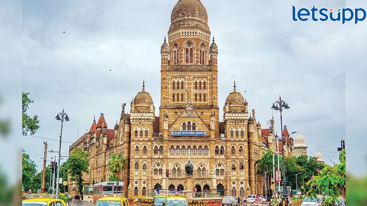 मुंबई महानगरपालिकेत सहाय्यक प्राध्यापक, डेटा एंट्री पदांसाठी भरती सुरू, कोण करू शकतं अर्ज? मुंबई महानगरपालिकेत सहाय्यक प्राध्यापक, डेटा एंट्री पदांसाठी भरती सुरू, कोण करू शकतं अर्ज?