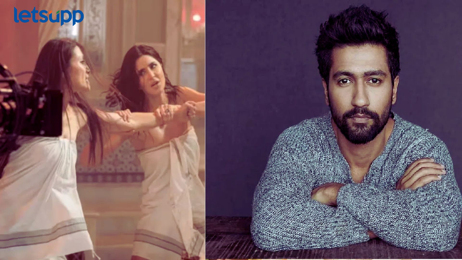 ‘मी तुझ्याशी कधीही वाद घालणार नाही पण…’, ‘टायगर 3’मधील टॉवेल फाइट सीनवर विकीने सोडले मौन 'मी तुझ्याशी कधीही वाद घालणार नाही पण...', ‘टायगर 3’मधील टॉवेल फाइट सीनवर विकीने सोडले मौन