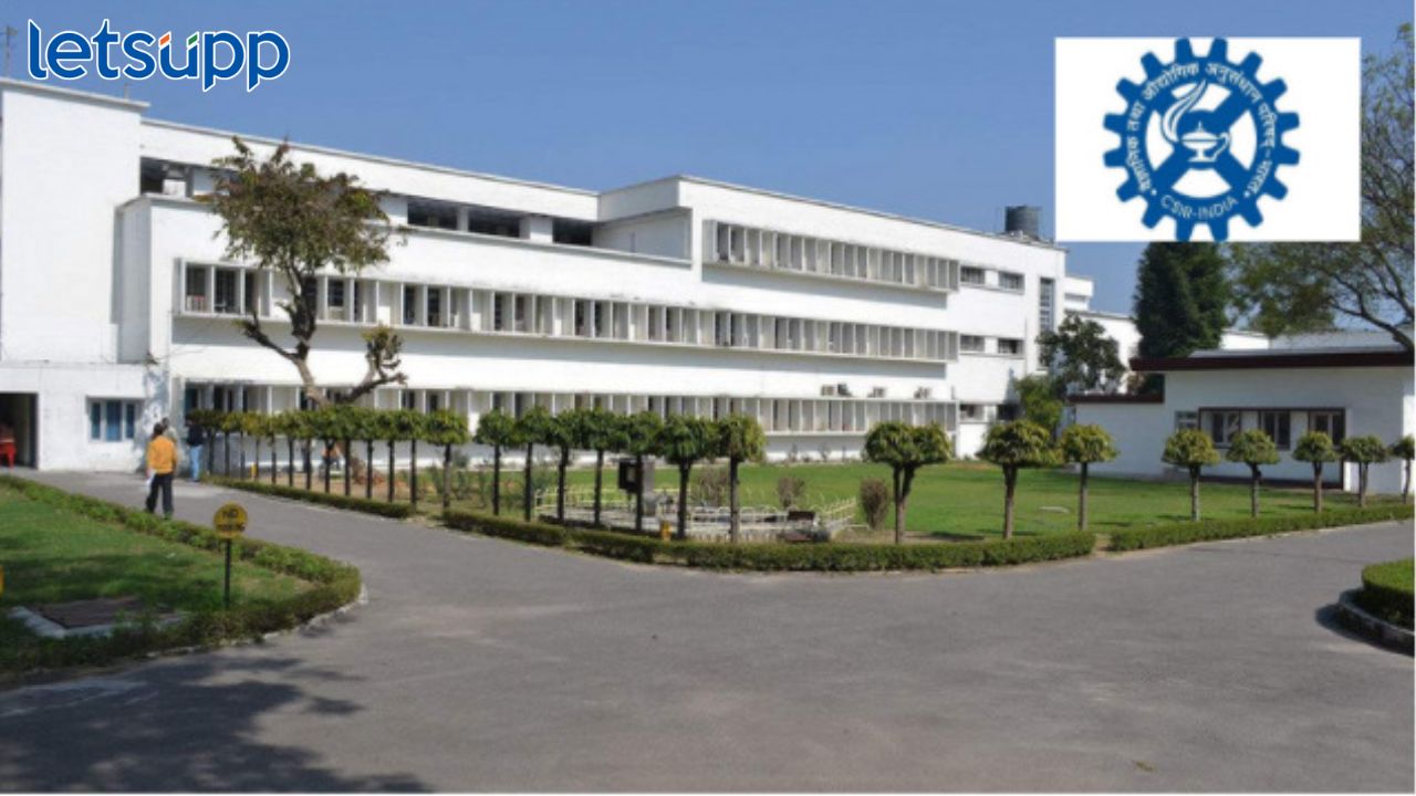 CSIR मध्ये या पदांच्या 444 जागांसाठी भरती सुरू, कोण करू शकतं अर्ज? CSIR मध्ये 'या' पदांच्या 444 जागांसाठी भरती सुरू, कोण करू शकतं अर्ज?