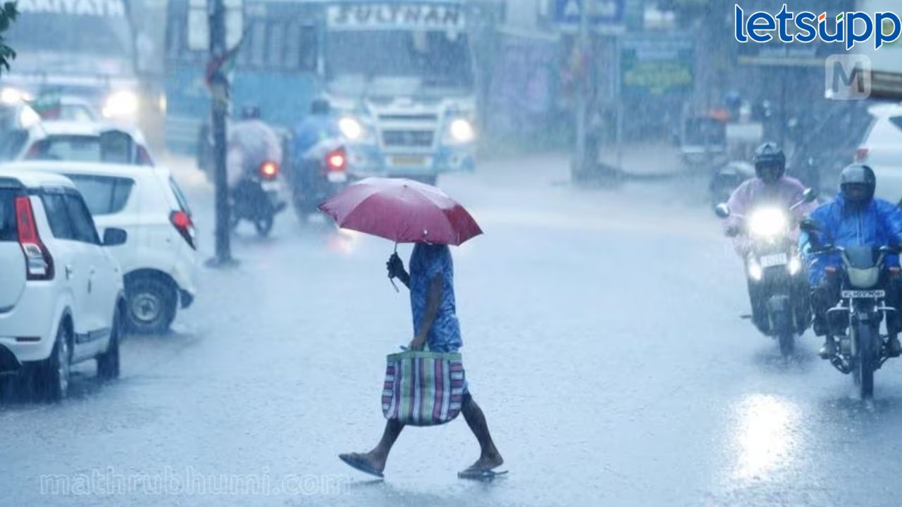 महाराष्ट्र व तामिळनाडूत मुसळधार पावसाचा इशारा; हवामानात होणार पुन्हा बदल