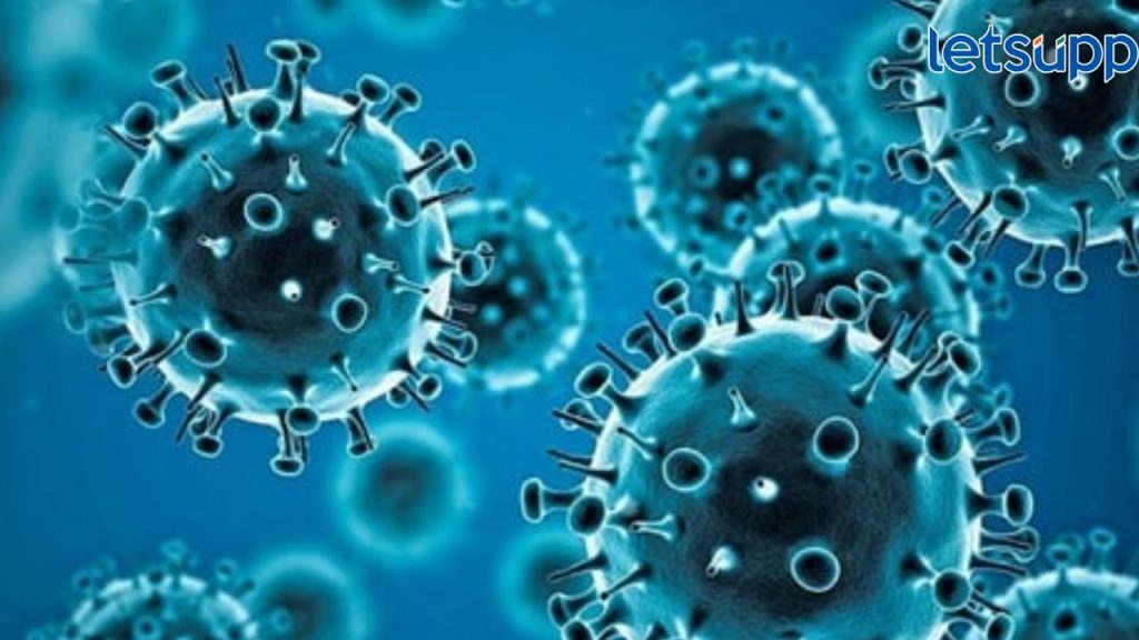 Corona Virus