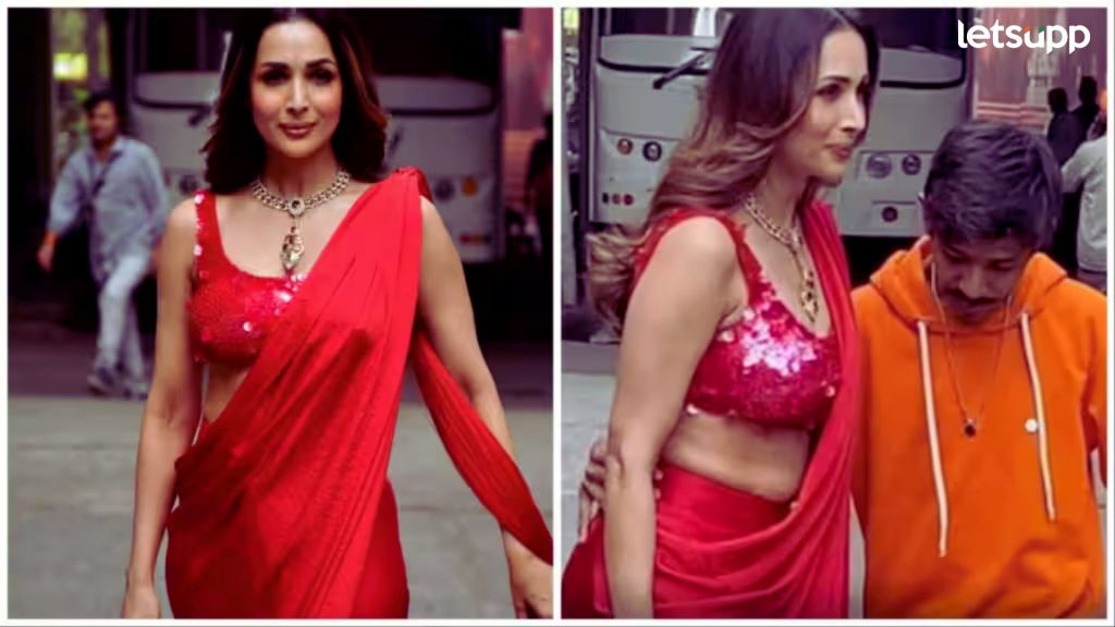 Malaika Arora: 'फोटो काढायला आला अन् थेट मलायकाच्या कंबरेवर... ', व्हिडीओ व्हायरल