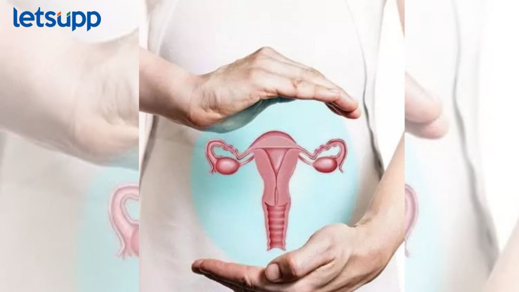 Letsupp Image 2023 12 30T122420.753