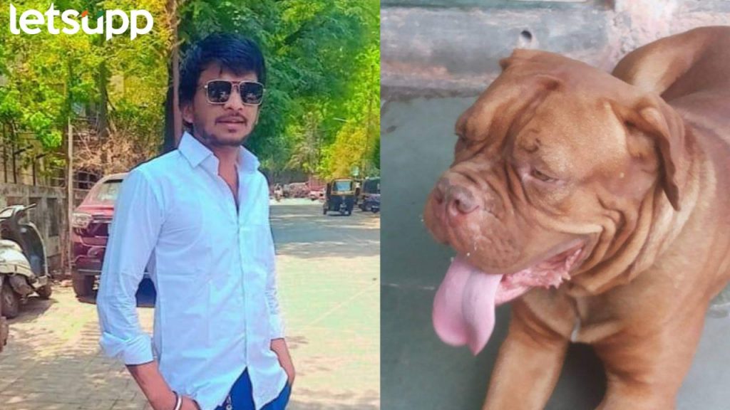 Pune Crime : धक्कादायक! राख अंगावर पाडल्याच निमित्त अन् अंगावर सोडला थेट पिटबुल डॉग