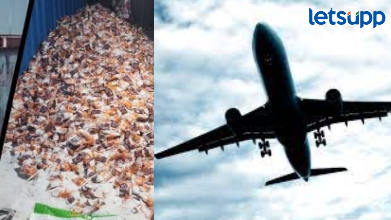 Pune Drug Case मध्ये महत्त्वाची अपडेट; कुरकुंभ दिल्ली व्हाया लंडनला असं पोहचलं 140 किलो एमडी ड्रग्ज Pune Drug Case मध्ये महत्त्वाची अपडेट; कुरकुंभ दिल्ली व्हाया लंडनला असं पोहचलं 140 किलो एमडी ड्रग्ज