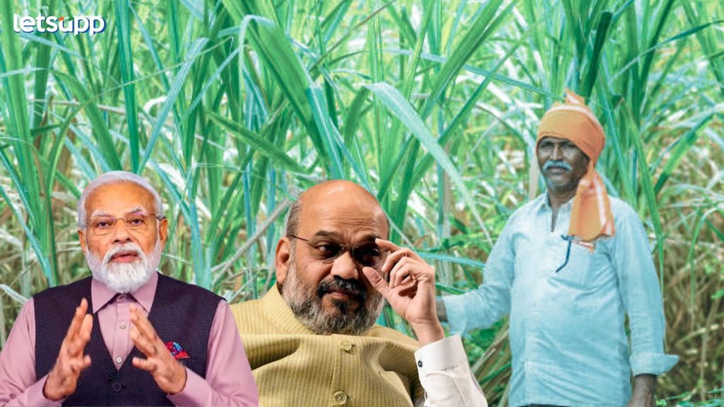 Sugar Cane