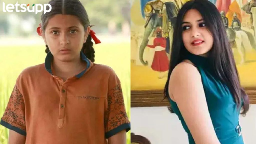 दंगल फेम अभिनेत्री सुहानी भटनागरचे निधन, 'या' कारणामुळे 19 व्या वर्षी घेतला अखेरचा श्वास
