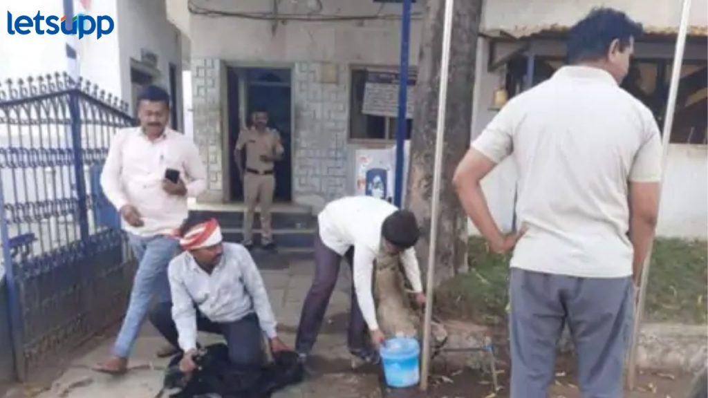 पोलिसांनीच दिला बोकडबळी! उदगीर पोलिस ठाण्यातील प्रकारानंतर 2 पीआय निलंबित, ८ जणांची बदली