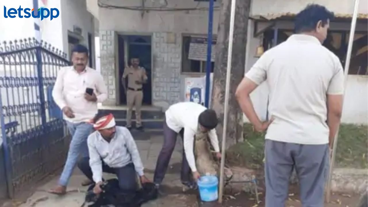पोलिसांनीच दिला बोकडबळी! उदगीर पोलिस ठाण्यातील प्रकारानंतर 2 पीआय निलंबित, ८ जणांची बदली पोलिसांनीच दिला बोकडबळी! उदगीर पोलिस ठाण्यातील प्रकारानंतर 2 पीआय निलंबित, ८ जणांची बदली