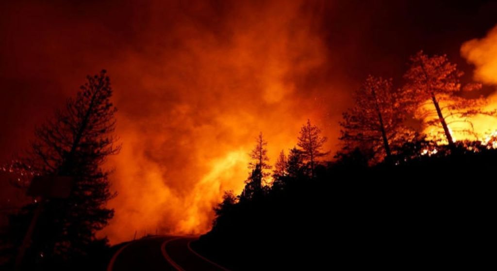 Chile Wild Fire : चिलीच्या जंगलात भीषण आग! 46 जणांचा मृत्यू, हजारो हेक्टर जंगल खाक