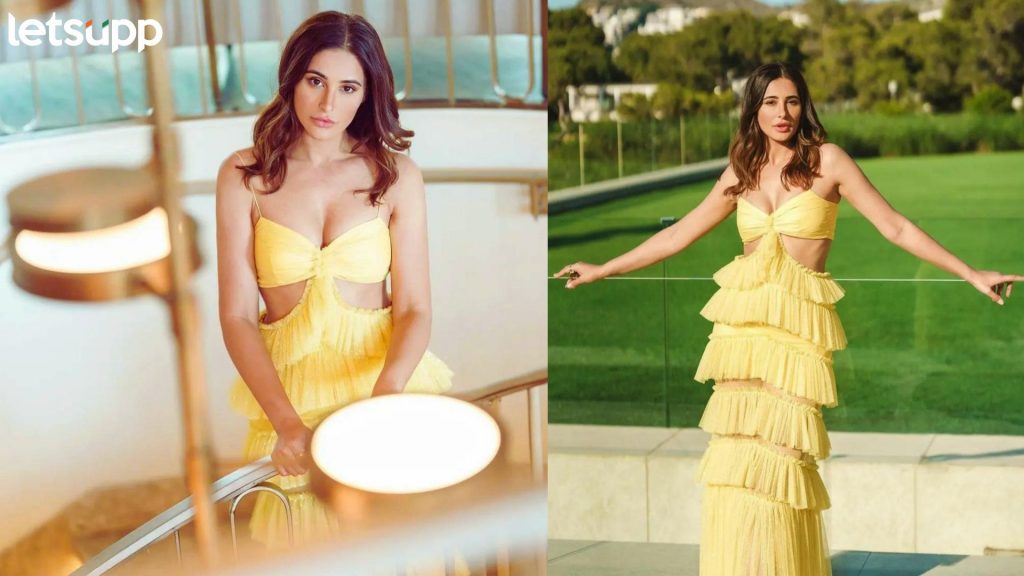 स्वित्झर्लंड ते कॅलिफोर्निया Nargis Fakari ची खास ट्रॅव्हल डायरी! पाहा फोटो