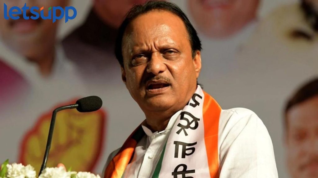 "लोकसभेला दुर्लक्ष झालं पण, विधानसभेला लक्ष द्या"; अजितदादांचं सातारकरांना खास आवाहन