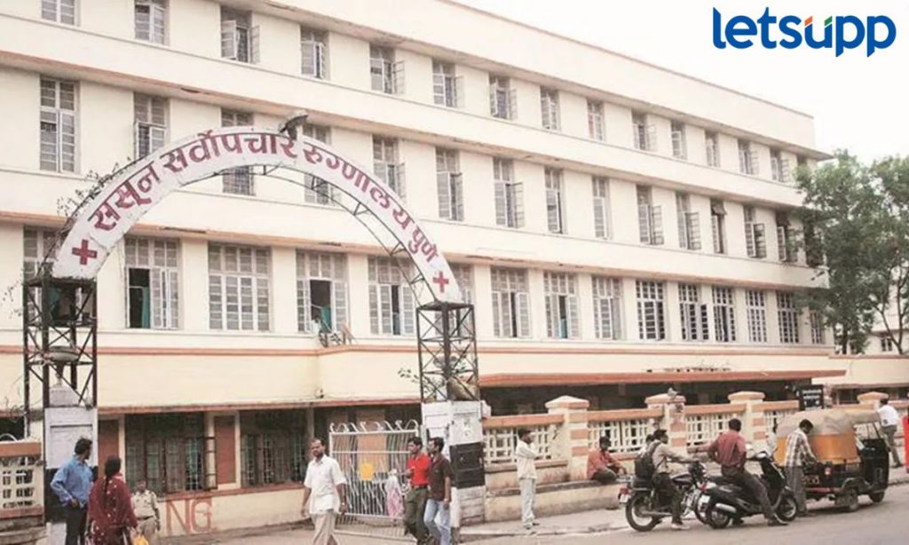धक्कादायक! ICU मध्ये उंदीर चावल्याने रूग्ण दगावला; पुण्यातील ससूनमधील घटना