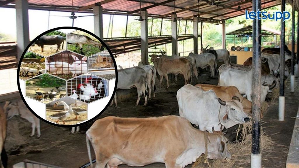 Government Schemes Farm