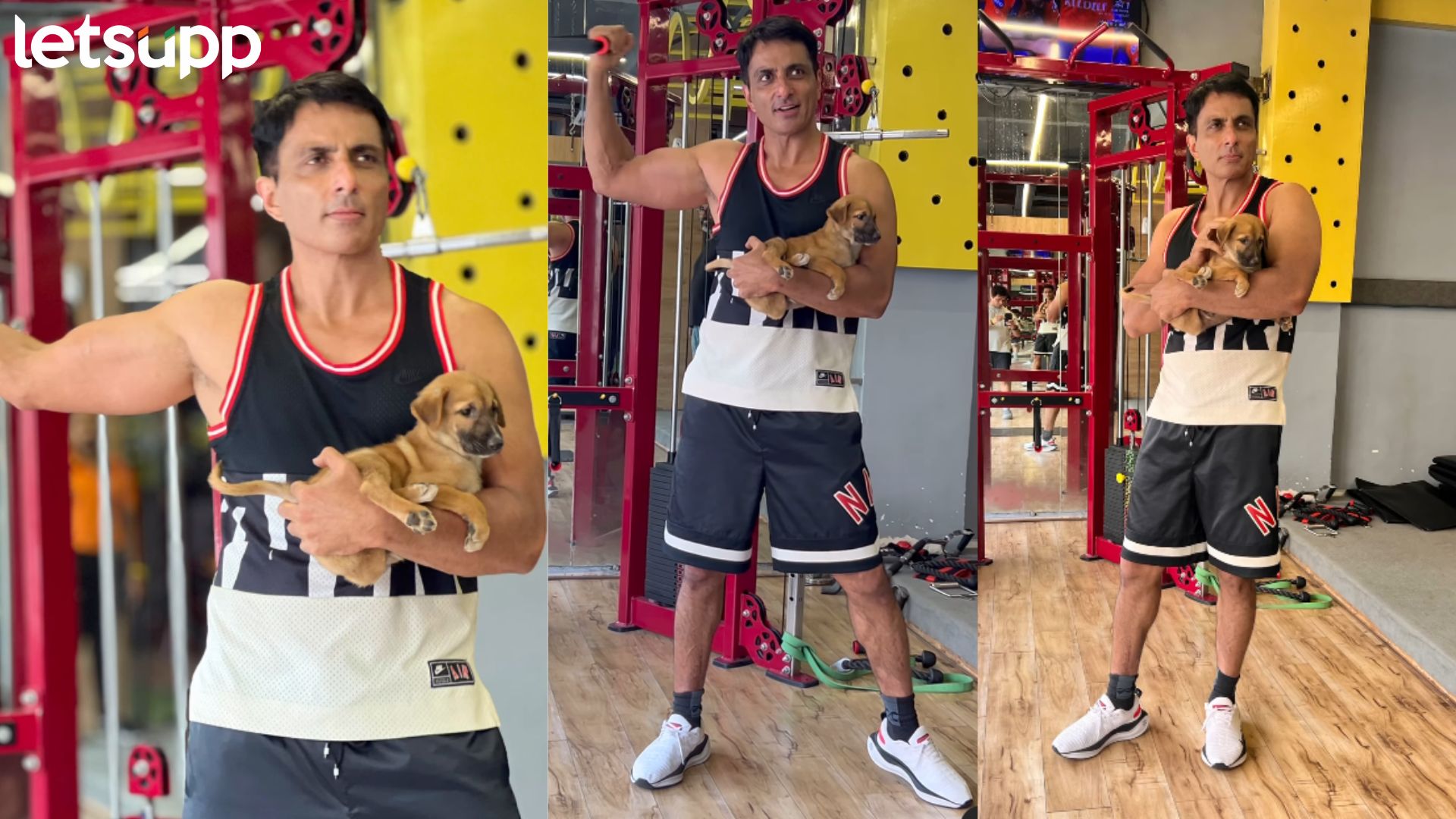 Sonu Sood: सोनू सूदला मिळाला एक नवा जिम पार्टनर; म्हणाला, ‘प्यारे मोहन…’ Sonu Sood: सोनू सूदला मिळाला एक नवा जिम पार्टनर; म्हणाला, 'प्यारे मोहन...'