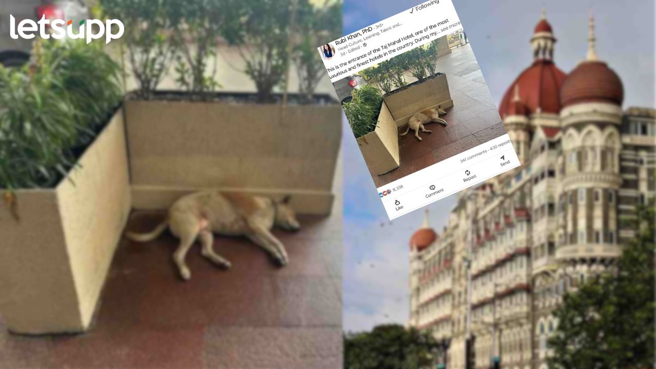 Ratan Tata यांची अशीही भूतदया! एक आदेश अन् भटका कुत्रा ‘ताज’मध्ये निवांत झोपतो…