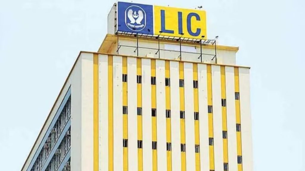 एलआयसीची चांदी! 3 महिन्यात नफ्यात अडीच टक्के वाढ, कंपनी शेअर्सवर देणार 'इतका' लाभांश