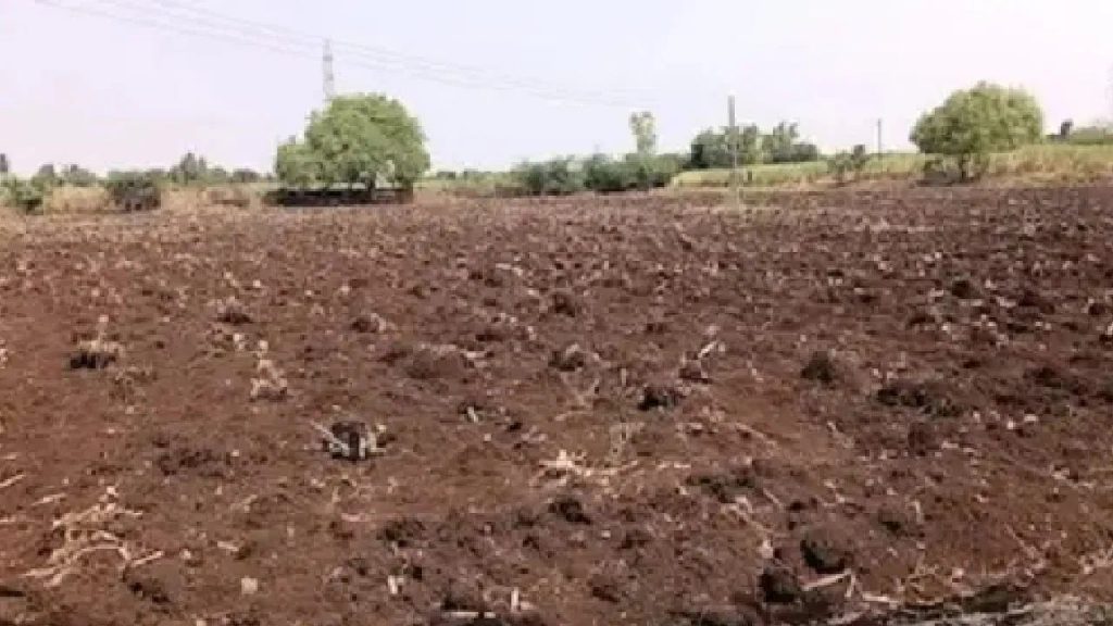 भयानक! जमिनीच्या वादातून तरुणीला गाडण्याचा प्रयत्न; चार जणांवर गुन्हा दाखल