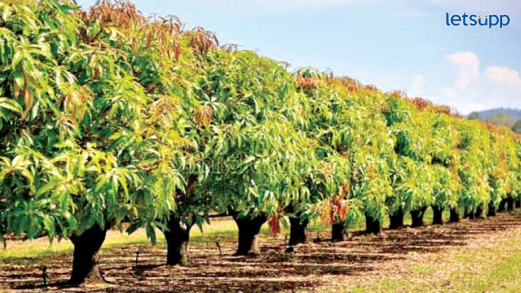 Farmer Government Schemes