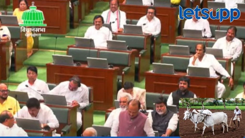 अर्थसंकल्पात अजित पवारांकडून घोषणांचा पाऊस; शेतकऱ्यांसाठी मोफत विजेसह 'या' केल्या घोषणा