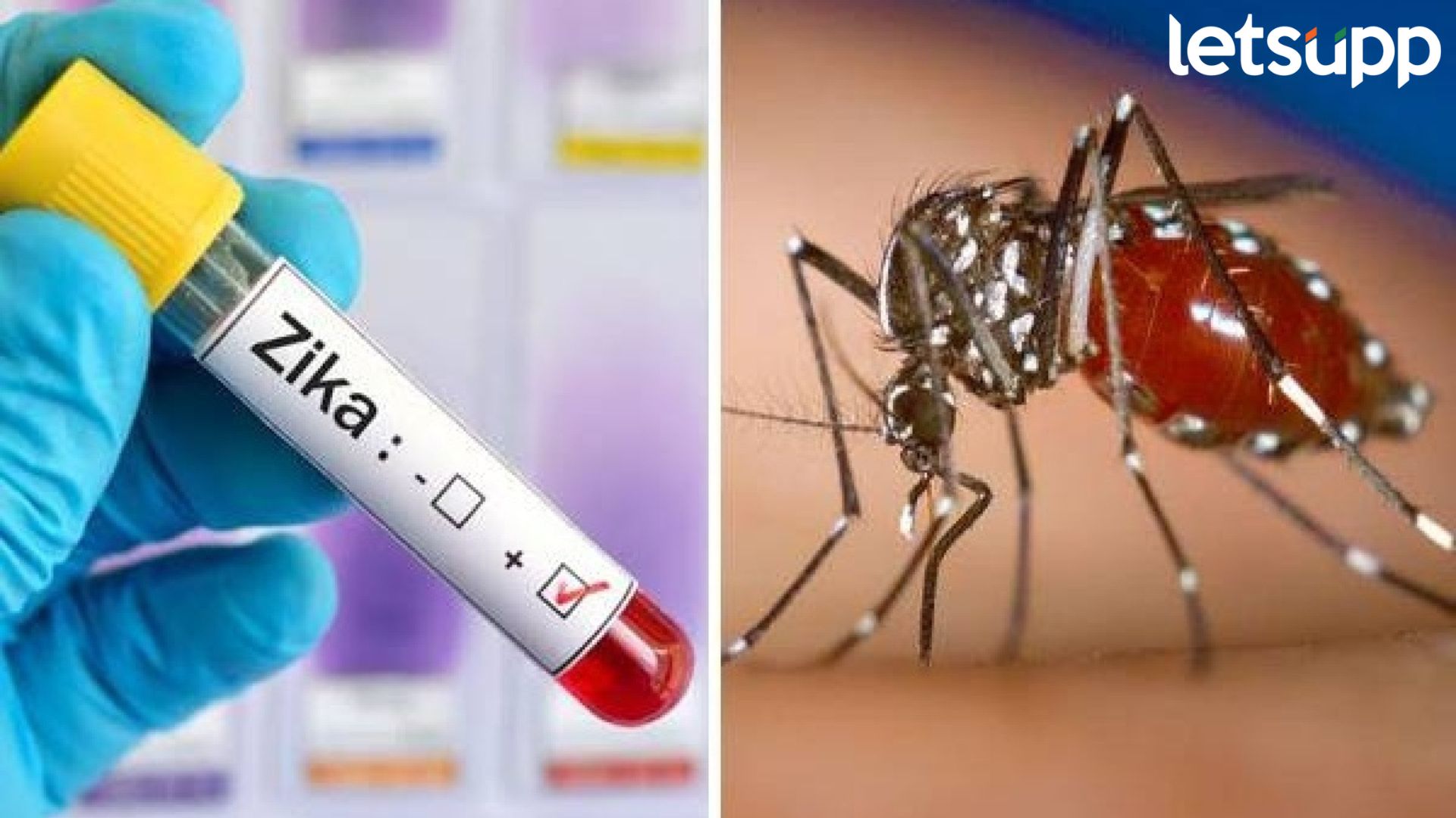 Zika Virus : सावध राहा, महाराष्ट्रात वाढत आहे झिका व्हायरस, जाणून घ्या लक्षणे