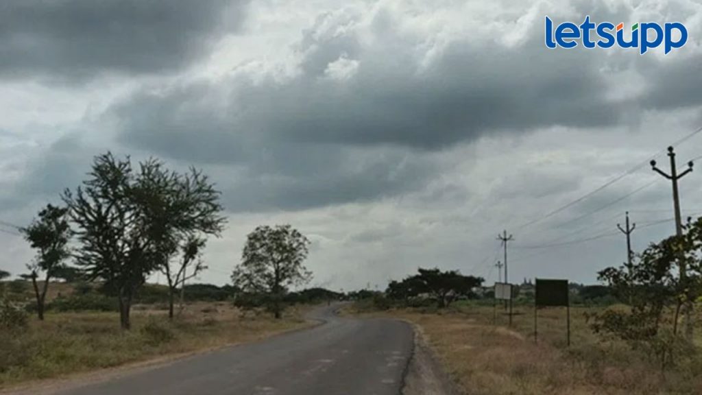 पुढचे 24 तास महत्वाचे; पावसाचा जोर वाढणार, मराठवाड्यासह विदर्भातही मुसळधार कोसळणार