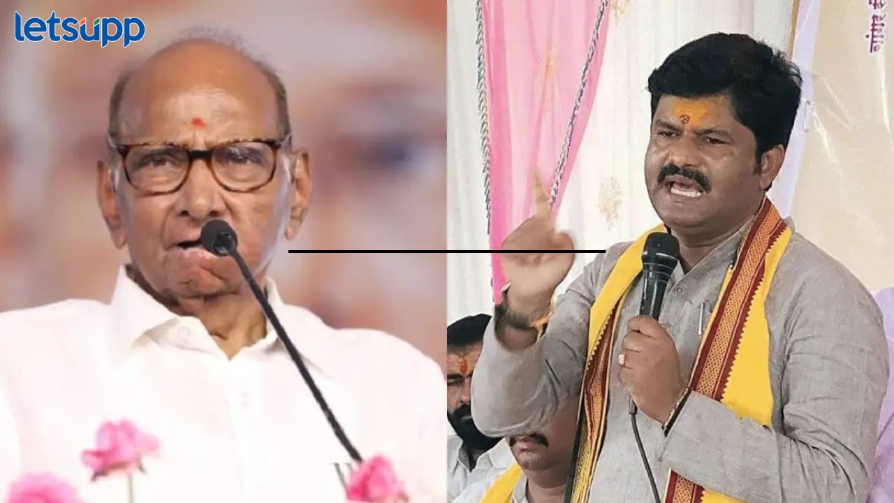 ‘त्यांना फक्त पाहुण्यांना मोठ करायचं असतं’; भाजप आमदार गोपीचंद पडळकरांची शरद पवारांवर टीका 'त्यांना फक्त पाहुण्यांना मोठ करायचं असतं'; भाजप आमदार गोपीचंद पडळकरांची शरद पवारांवर टीका
