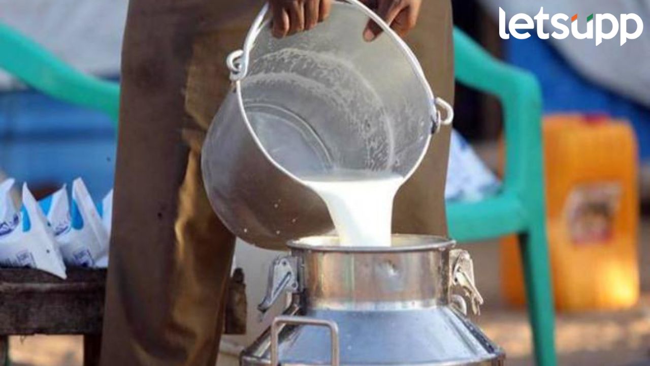 बीड जिल्ह्यात भेसळयुक्त दूध निर्मितीवर कारवाई; पावडरच्या ६०० गोण्यांचा साठा जप्त, एकजण ताब्यात बीड जिल्ह्यात भेसळयुक्त दूध निर्मितीवर कारवाई; पावडरच्या ६०० गोण्यांचा साठ जप्त, एकजण ताब्यात