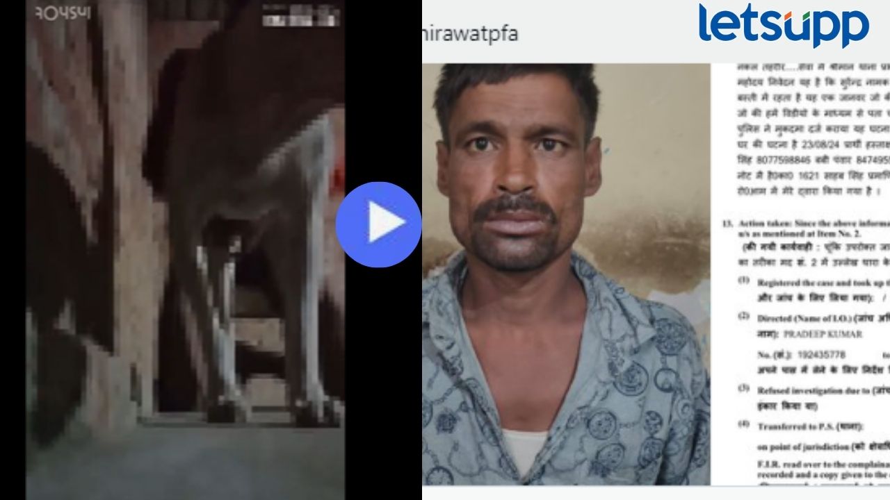 कुत्र्यासोबत घाणेरडे कृत्य करताना पकडला विकृत माणूस; व्हिडिओ व्हायरल होताच अटक Video : घृणास्पद! कुत्र्यासोबत 'Sex' करताना पकडला विकृत माणूस; व्हिडिओ व्हायरल होताच अटक