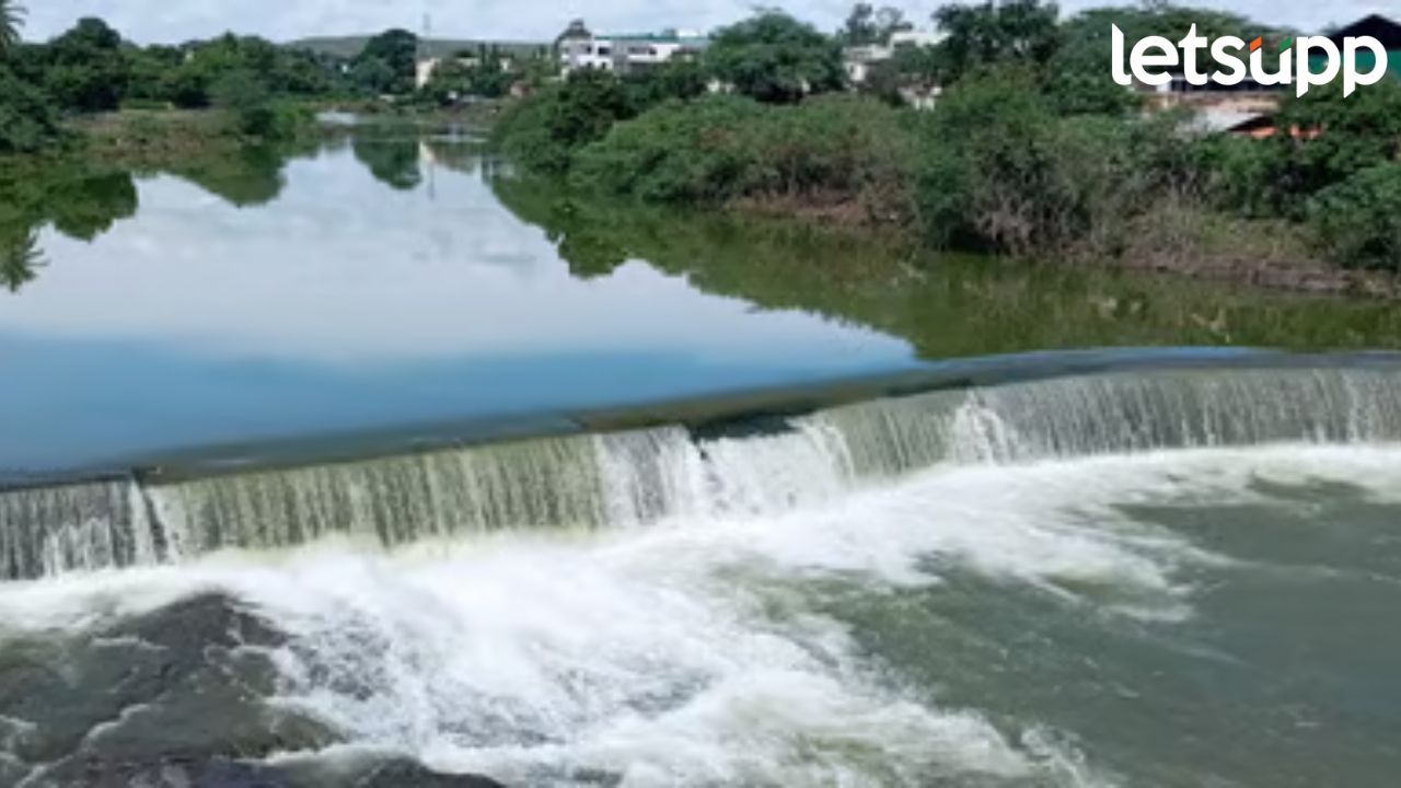राज्यात पावसाचा जोर कायम राहणार; मुंबईला यलो अलर्ट, राज्यातील इतर जिल्ह्यांत काय परिस्थिती? राज्यात पावसाचा जोर कायम राहणार; मुंबईला यलो अलर्ट, राज्यातील इतर जिल्ह्यांत काय परिस्थिती?