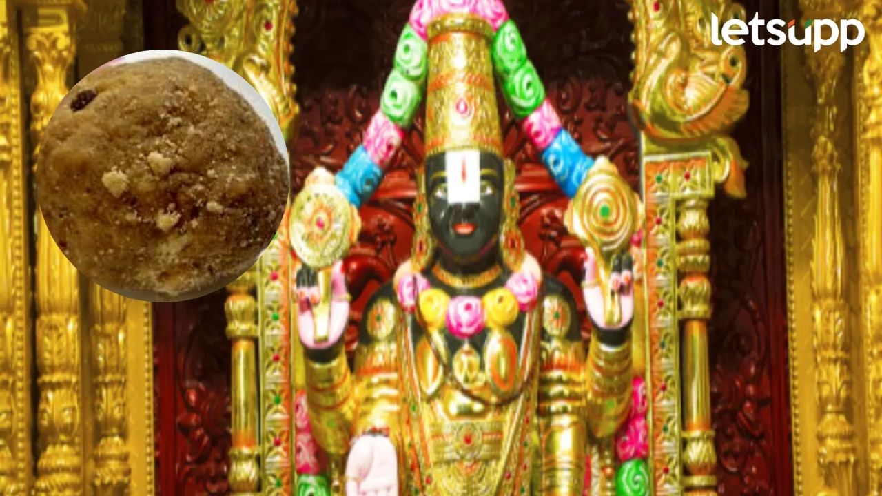 तिरुपतीच्या लाडूंमध्ये गोमांस? चंद्राबाबूंच्या आरोपांवर लॅबचा शिक्कामोर्तब, रिपोर्ट व्हायरल Balaji Mandir