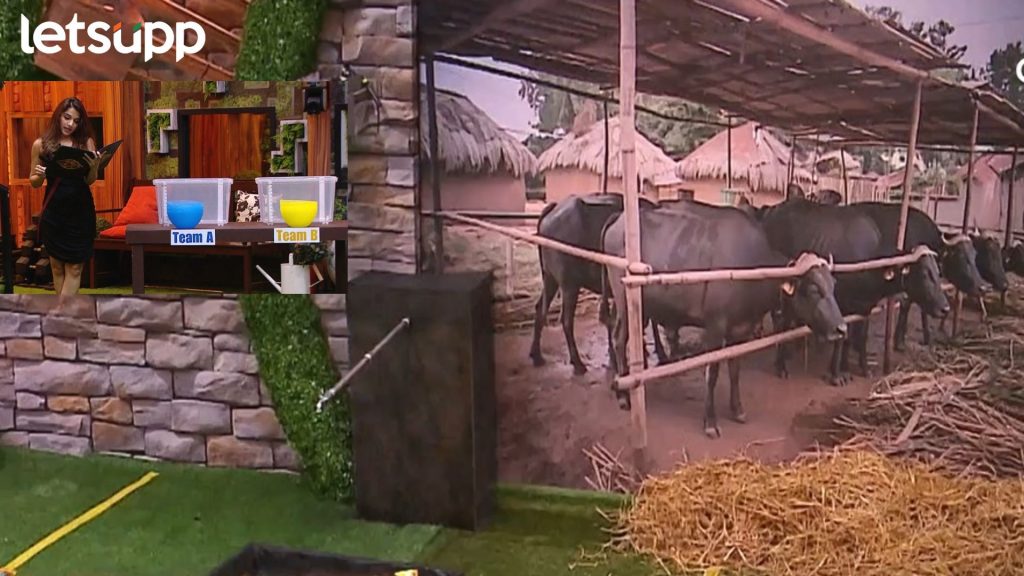 Bigg Boss Marathi : 'बिग बॉस मराठी'च्या घरातील सदस्य आज BB फार्मचा कारभार सांभाळणार; पाहा प्रोमो