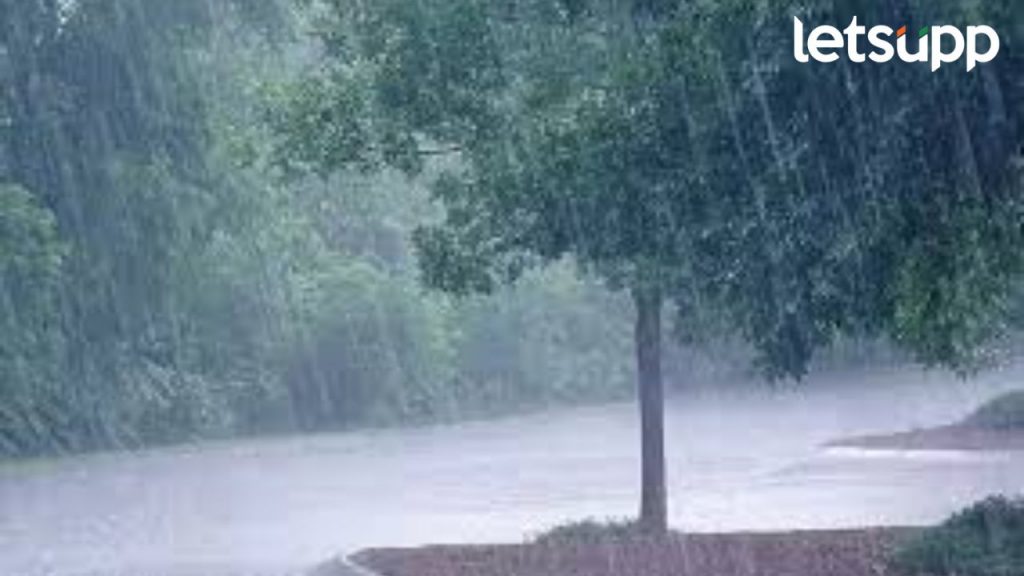 राज्यात पुन्हा सक्रिय पावसाची शक्यता; शेतकऱ्यांनी पिकांची काळजी घेण्याची गरज, कुठं होणार पाऊस?