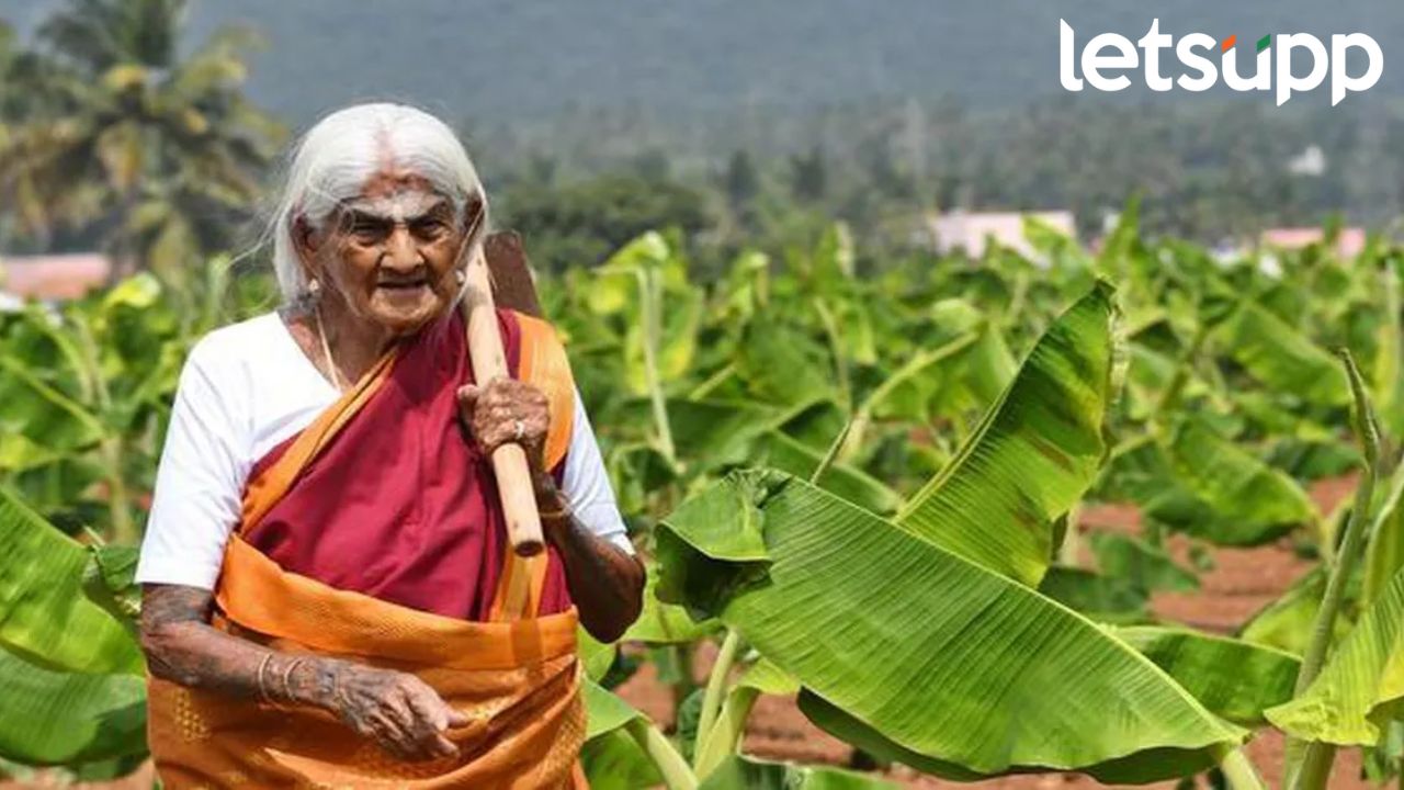 सेंद्रिय शेतीला प्रोत्साहन देणाऱ्या पद्मश्री पप्पम्मल यांचं निधन; वयाच्या १०८ व्या वर्षी घेतला अखेरचा श्वास सेंद्रिय शेतीला प्रोत्साहन देणाऱ्या पद्मश्री पप्पम्मल यांचं निधन; वयाच्या १०८ व्या वर्षी घेतला अखेरचा श्वास