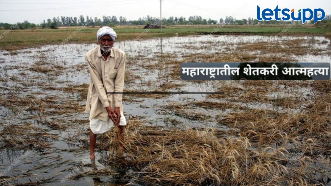 दुष्काळ-अतिवृष्टी झळा! भारतात ७.२ टक्क्यांनी शेतकरी आत्महत्या वाढल्या; महाराष्ट्राची स्थिती काय? दुष्काळ-अतिवृष्टी झळा! भारतात ७.२ टक्क्यांनी शेतकरी आत्महत्या वाढल्या; महाराष्ट्राची स्थिती काय?