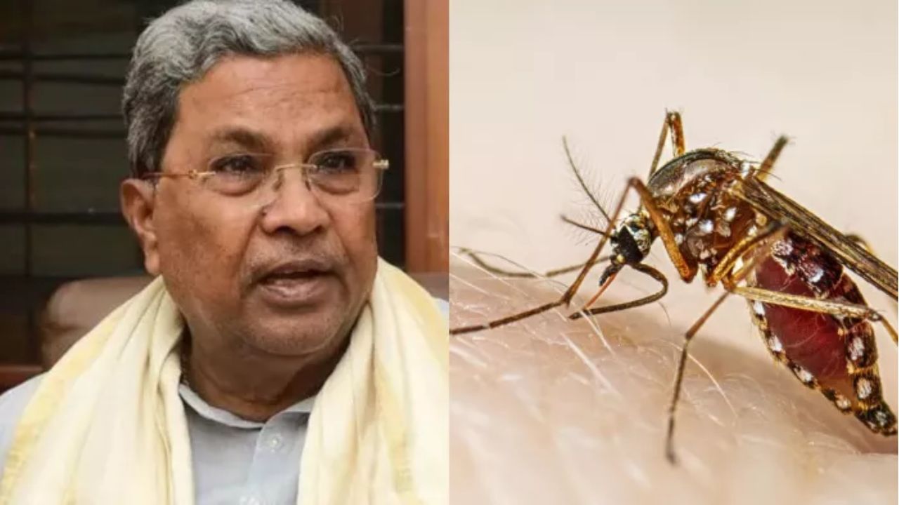 कर्नाटक ‘डेंग्यू’ने फणफणले! सरकारने घेतला ‘हा’ मोठा निर्णय; कठोर कारवाईचाही इशारा Dengue