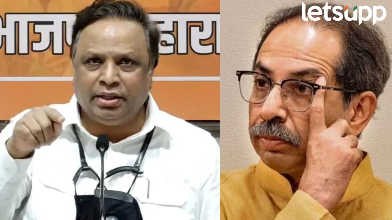 बाप-बेटे हल्ली दारोदारी फिरतात, दारावर टक-टक करून…; शेलारांची ठाकरे पित्रा-पुत्रांवर बोचरी टीका