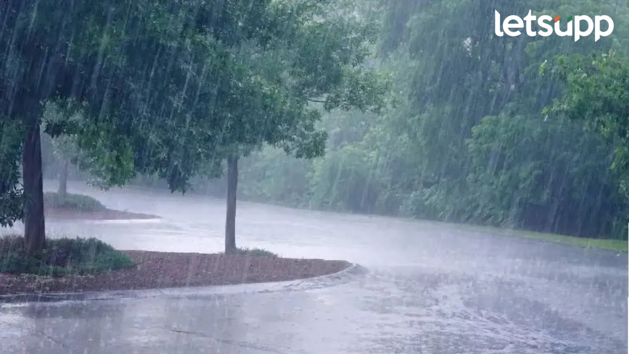 हवामान विभागाकडून ऑक्टोबर ते डिसेंबरमधील अंदाज जाहीर; आज राज्यात कुठं-कुठं पाऊस बरसणार? हवामान विभागाकडून ऑक्टोबर ते डिसेंबरमधील अंदाज जाहीर; आज राज्यात कुठं-कुठं पाऊस बरसणार?