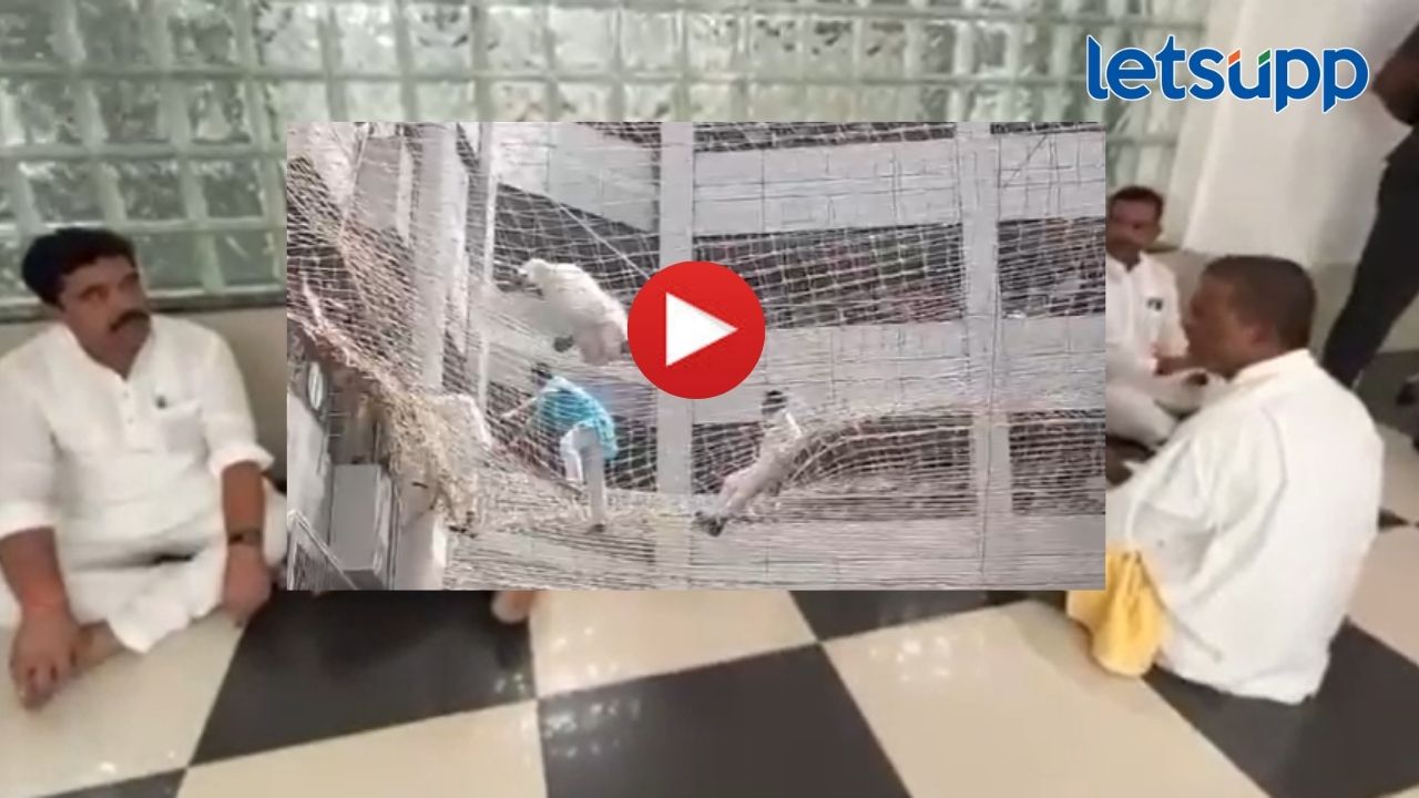 Video: काय सांगता? आमदाराची मंत्रालयातील जाळीवर उडी! झिरवळांनी का उचललं टोकाच पाऊल?